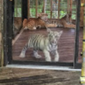 Meet your Posher, Kristin